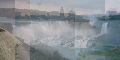 Mark Dion's Gull Appreciation Unit