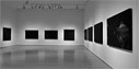 dark rooms installation view